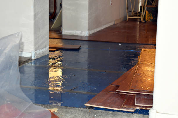 Professional Water Damage Restoration technician working in Adrian, MO